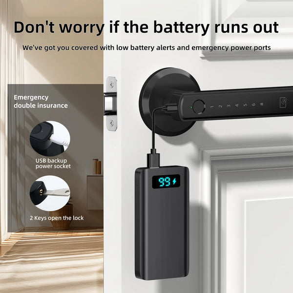 SmartGuard Pro Touch Door Lock